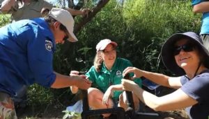 Searching for the prehistoric lungfish